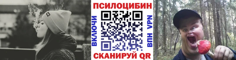 Псилоцибиновые грибы Magic Shrooms  Купить закладки  Лермонтов 
